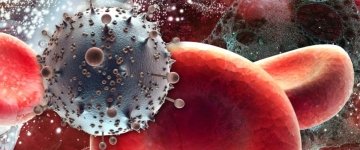 A method of complete destruction of HIV has been discovered